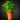 parsley 2